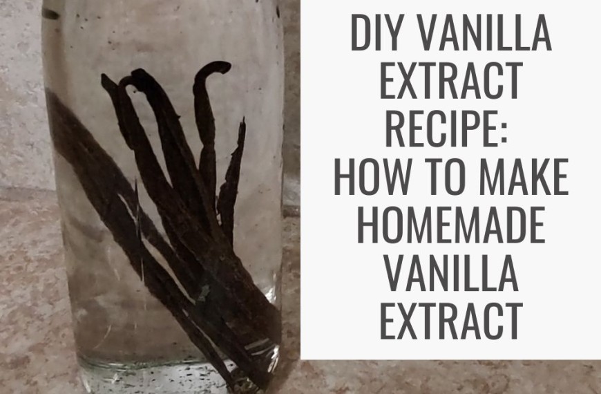 DIY Vanilla Extract Recipe