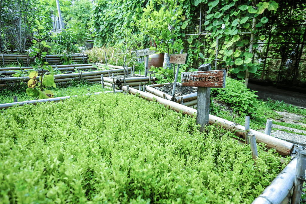farm keemala organic cuisine thailand