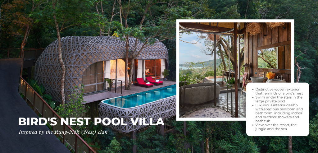 birds nest pool villa