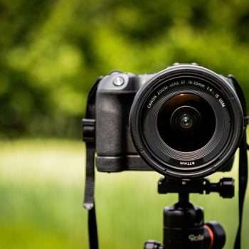 camera: Perfect Gifts for the Budding Photographer