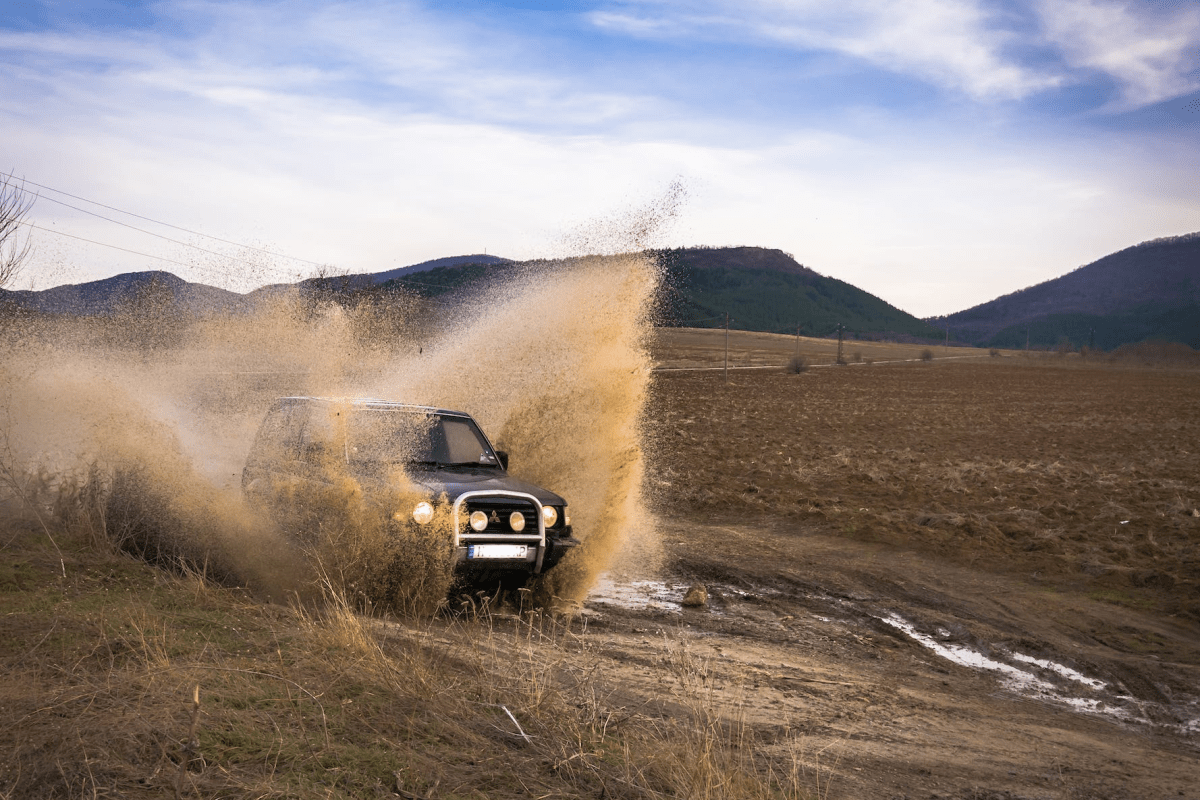 off-roading bull bars