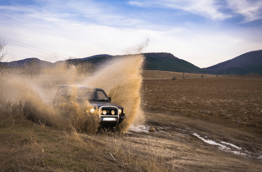 off-roading bull bars