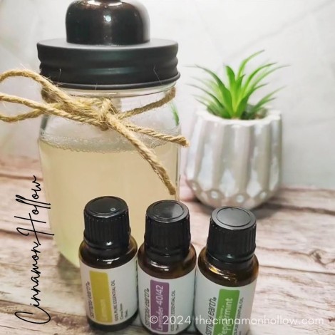 DIY Foaming Hand Soap With Essential Oils
