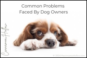 Common Problems Faced By Dog Owners