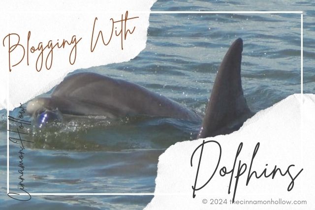 Blogging With Dolphins