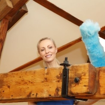 professional attic cleaners