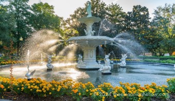 The Gardens in Georgia: Fountain in Forsyth Park Savannah