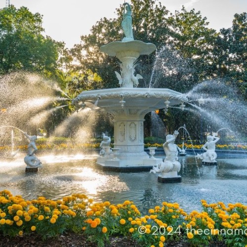 The Gardens in Georgia: Fountain in Forsyth Park Savannah