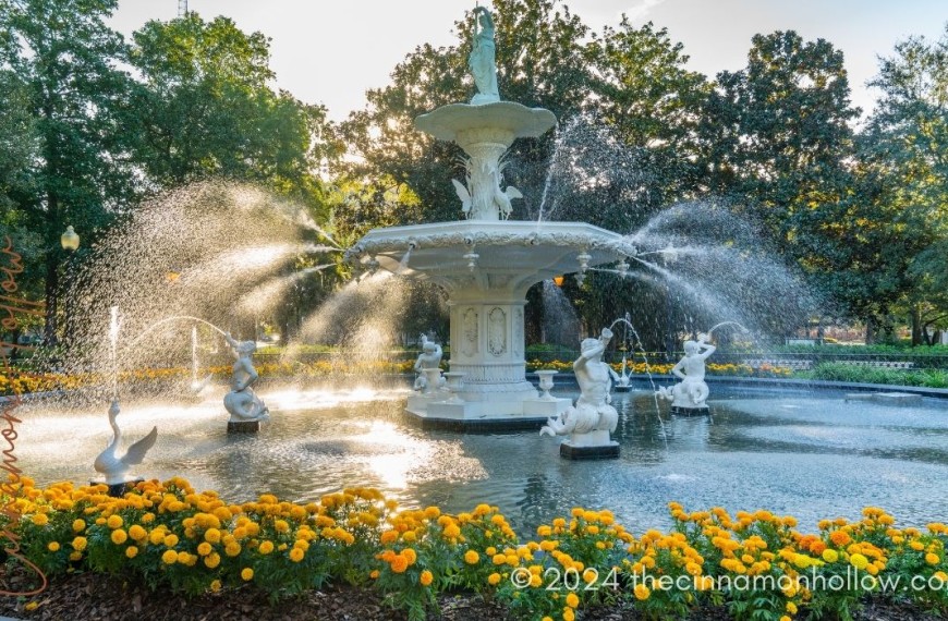 The Gardens in Georgia: Fountain in Forsyth Park Savannah