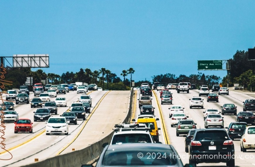 california spring break travel