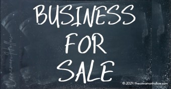 search engines businesses for sale
