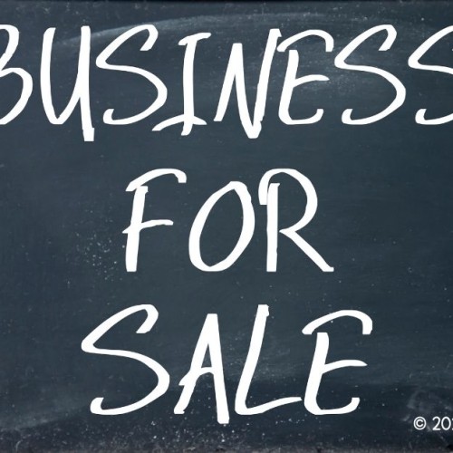 search engines businesses for sale