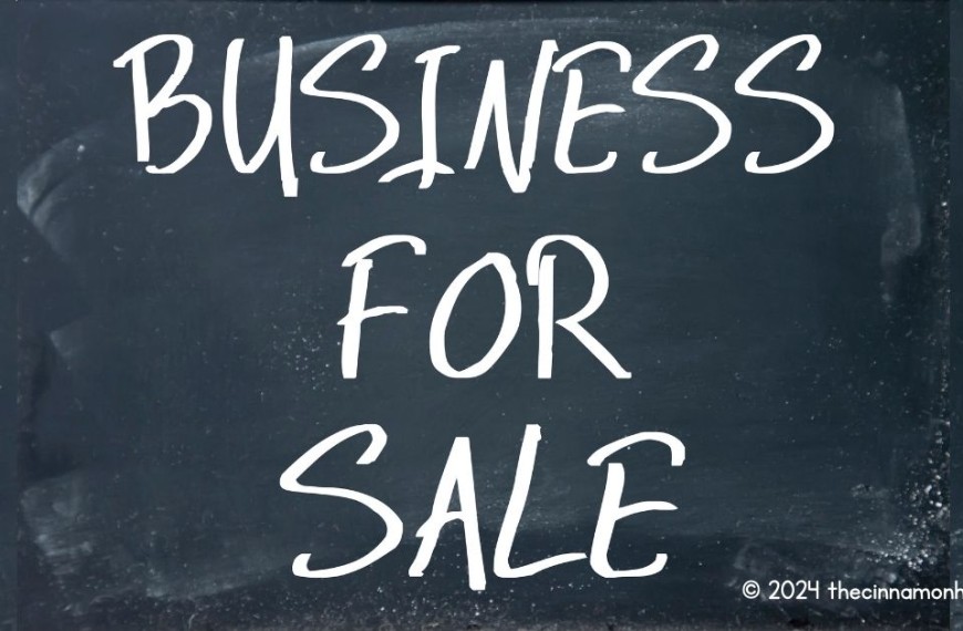 search engines businesses for sale