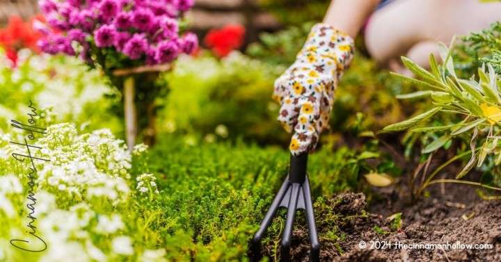 Spring Gardening And Lawn Care Tips