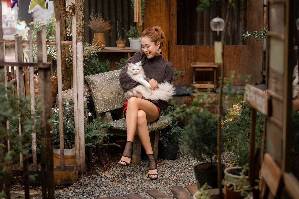 Human-Pet Health Connections