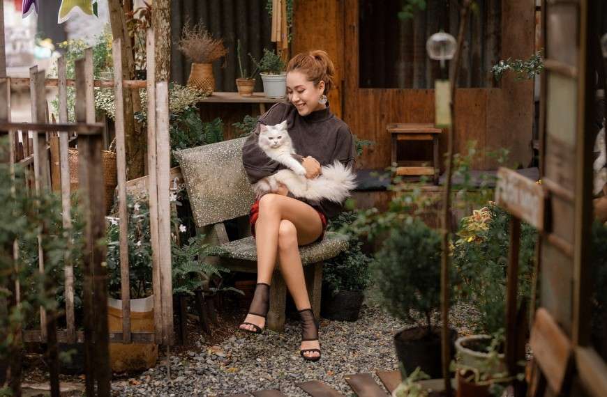 Human-Pet Health Connections