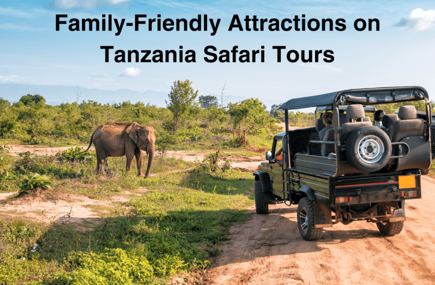 Tanzania Safari Tours