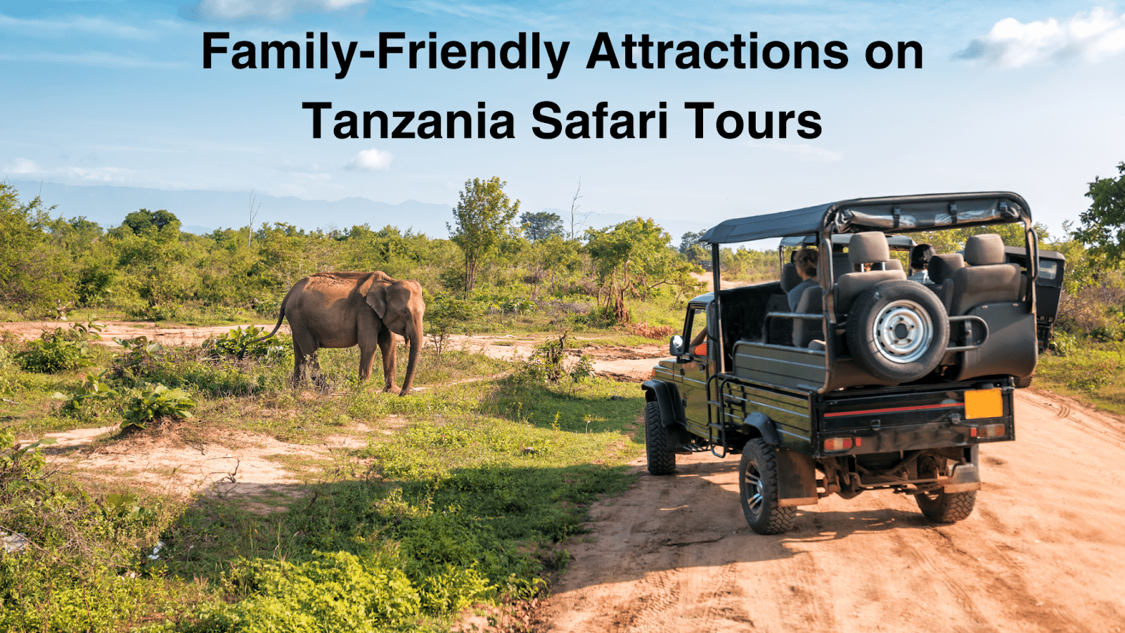 Tanzania Safari Tours