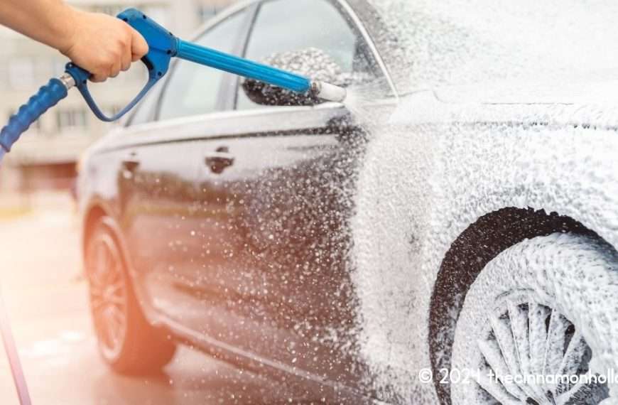 keep family car clean