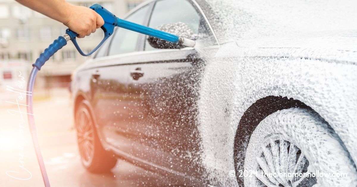 keep family car clean