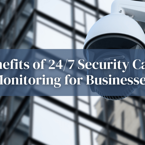 security camera monitoring for businesses
