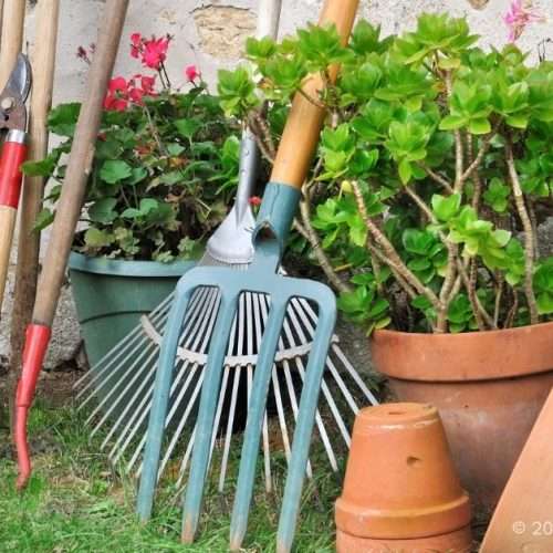 Low-Maintenance Garden