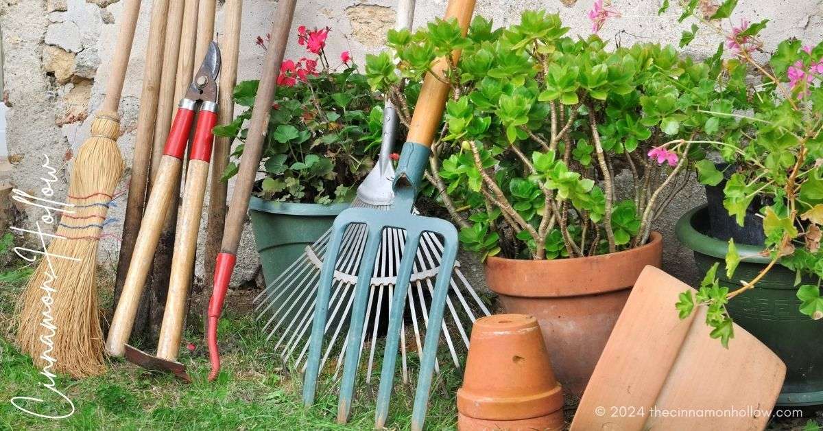 Low-Maintenance Garden