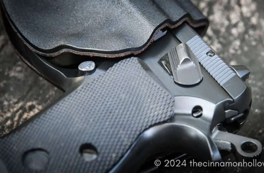 ankle holster