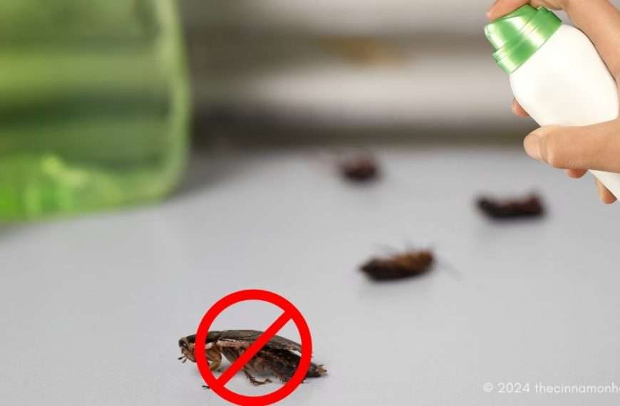 natural pest control prevent pests - Bug Infestation