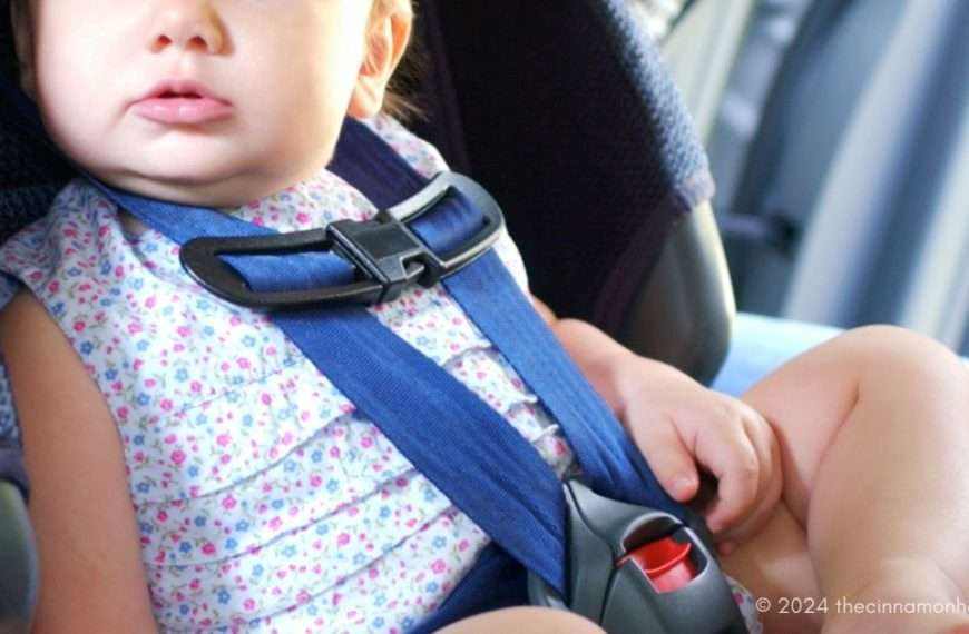 Forward-Facing Car Seat