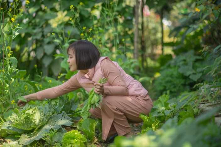 Organic Garden Maintenance