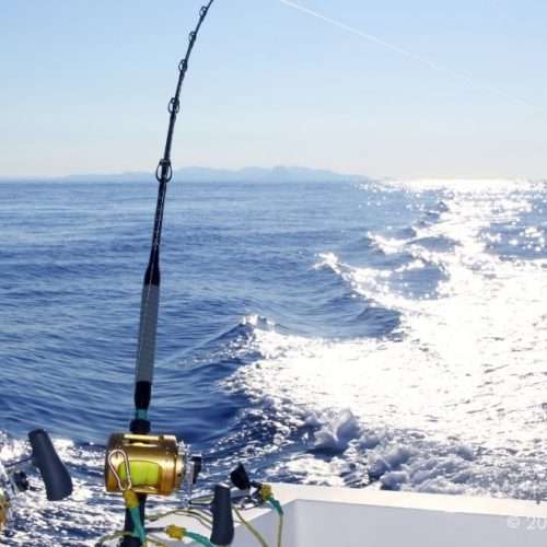 Saltwater Fishing Reels