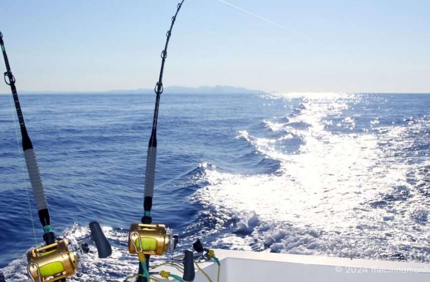 Saltwater Fishing Reels