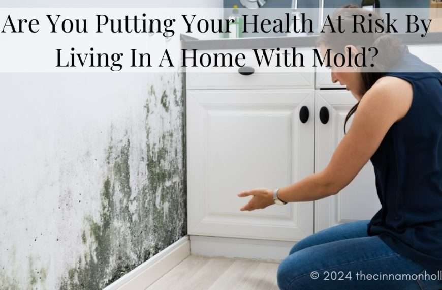 home with mold