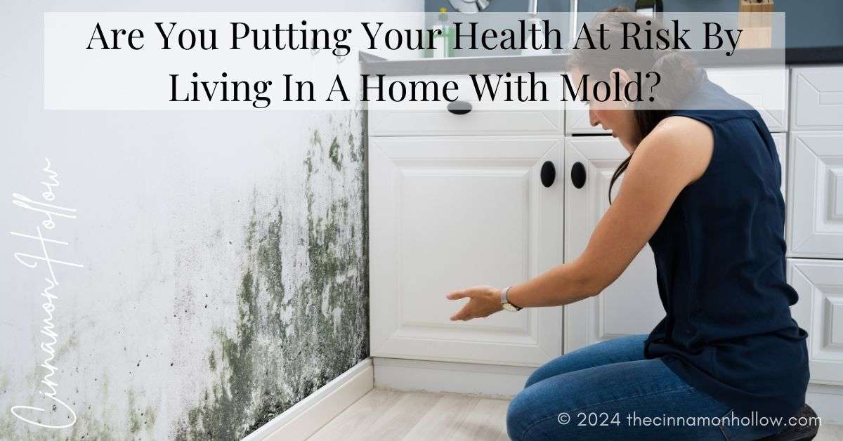 home with mold