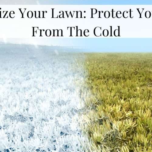 Winterize Your Lawn