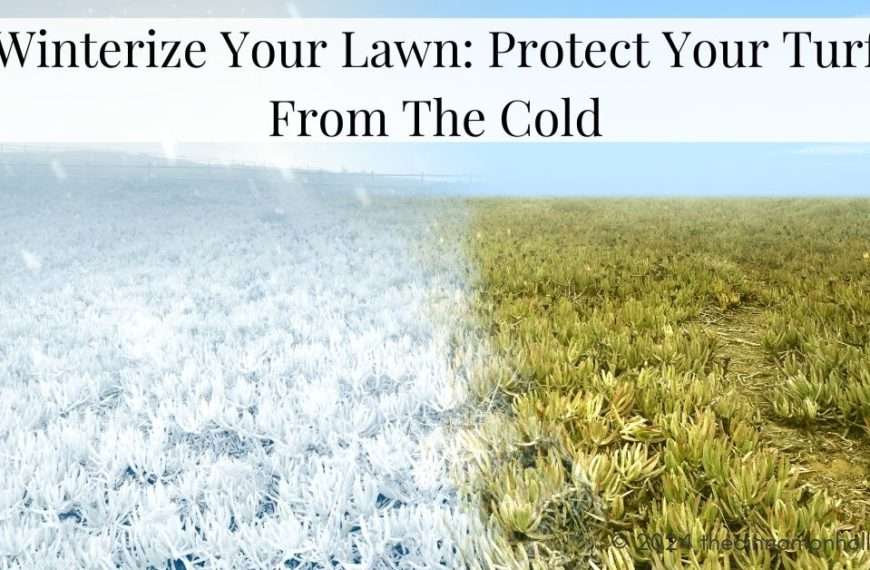 Winterize Your Lawn