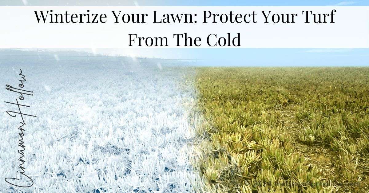 Winterize Your Lawn