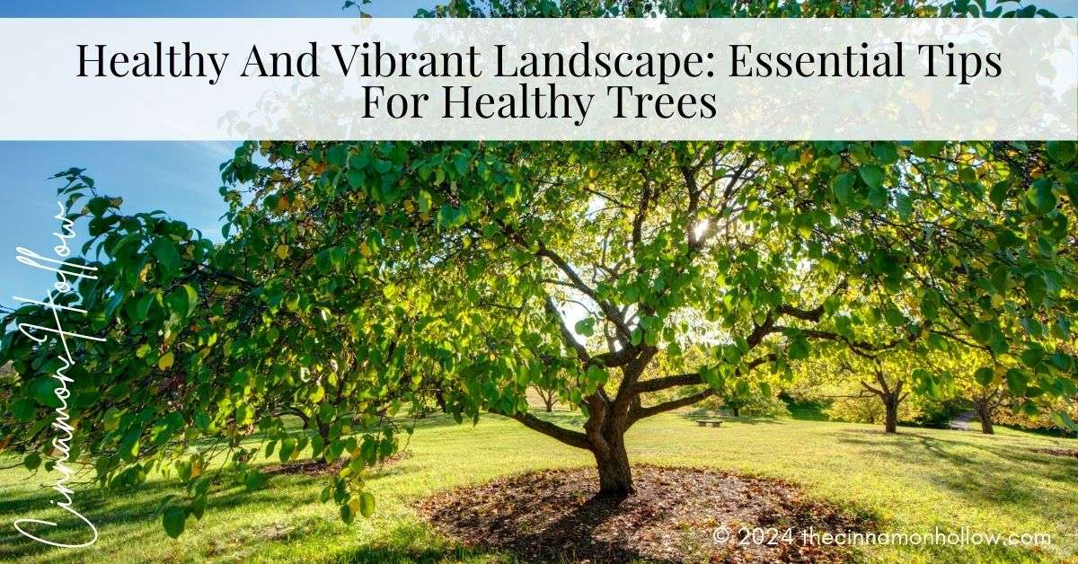 Essential Tips For Healthy Trees