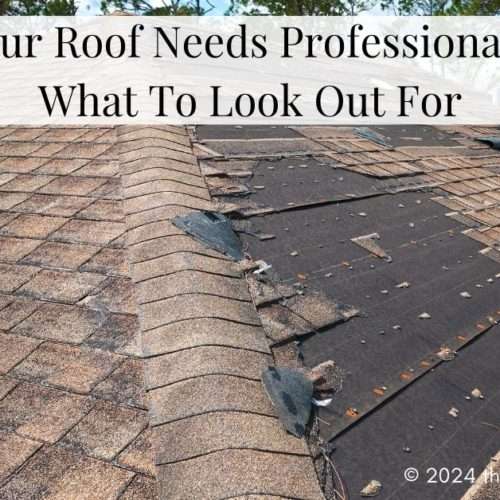 Signs Your Roof Needs Professional Repair