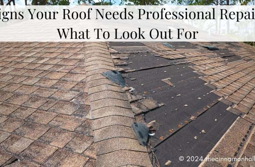 Signs Your Roof Needs Professional Repair