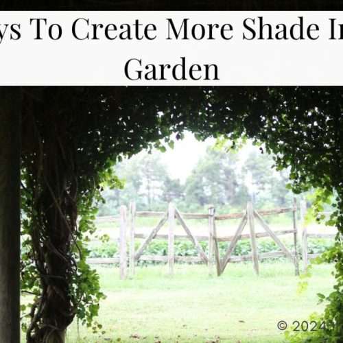 create shade in your garden