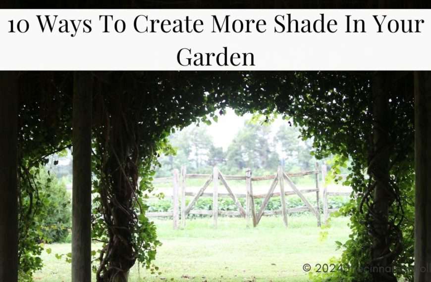 create shade in your garden