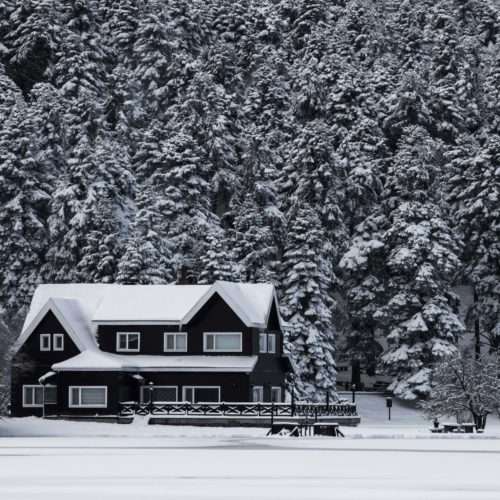 prepare a vacated home for winter