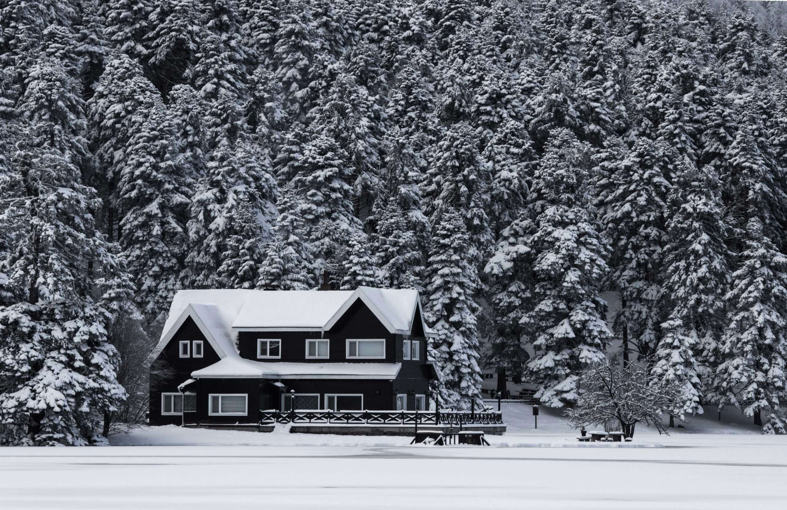 prepare a vacated home for winter