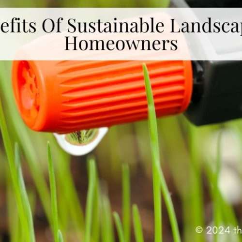 sustainable landscaping