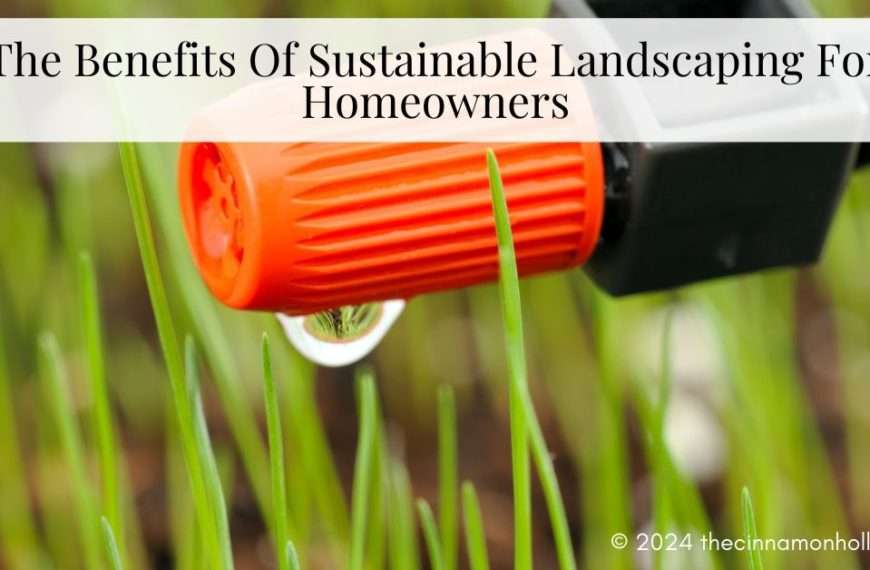 sustainable landscaping