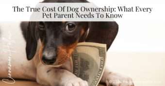 true cost of dog ownership