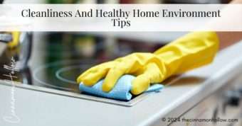 cleaning home tips and healthy home environment tips