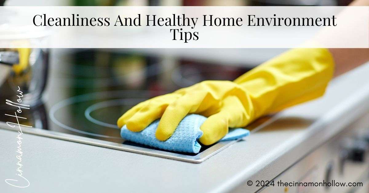 cleaning home tips and healthy home environment tips